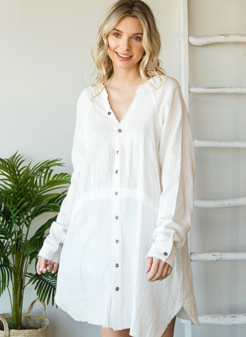 Basic Button Down