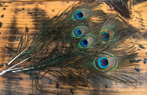 Hat Bar- Peacock Feather - DIRT ROAD GYPSI